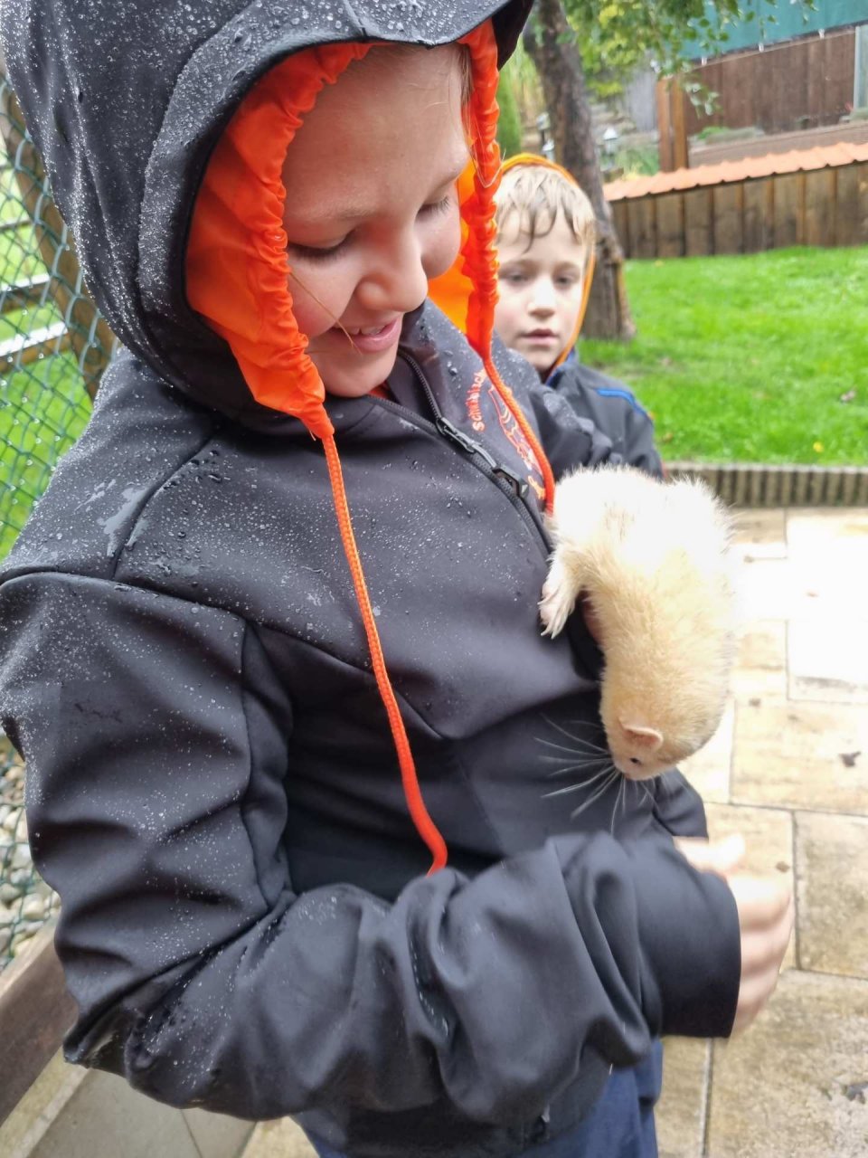 Oktober - Regionalwandertag Abtsgmünd